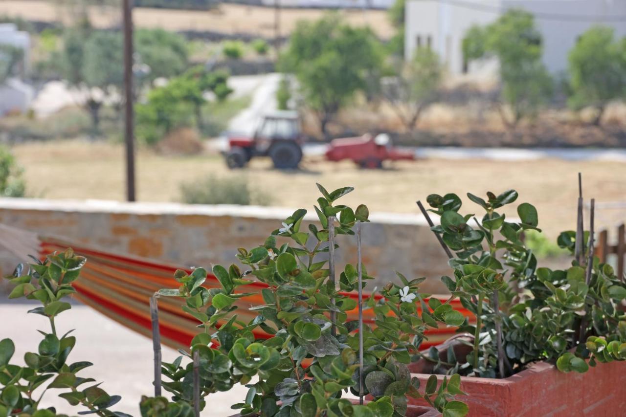 Pine Cottage, Syros Island Agros  Екстериор снимка